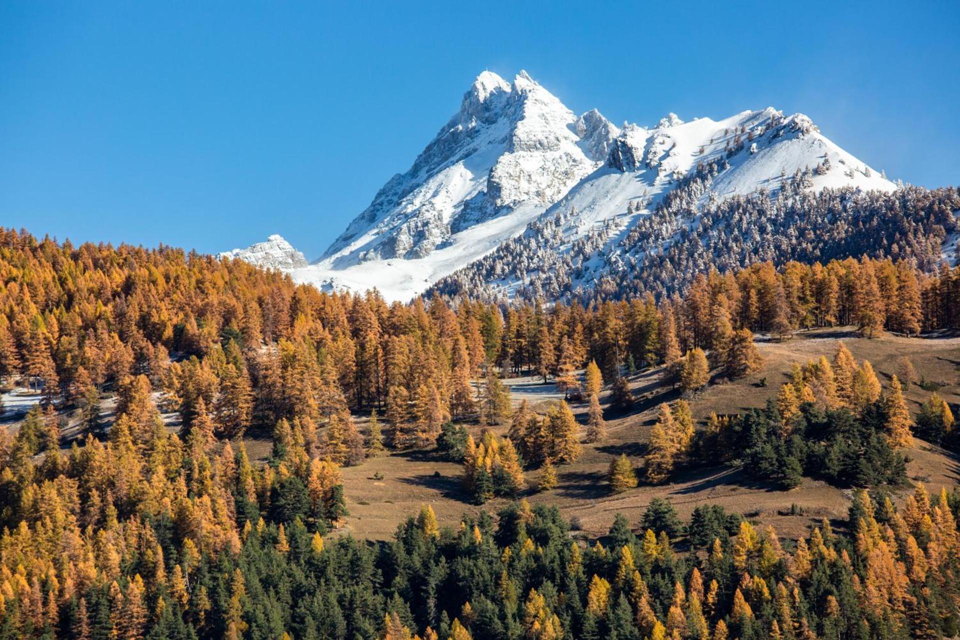 La Casse Deserte Arvieux Zewnętrze zdjęcie